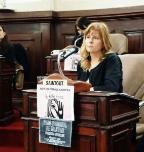 Saintout en una nueva sesión del HCD de La Plata. (foto: prensa Saintout)