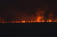 Para Mario Secco, el incendio en la Reserva Natural  de Punta Lara fue «intencional»