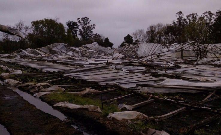 Macri y sus políticas más el temporal es igual a tragedia para el cordón frutihortícola de La Plata