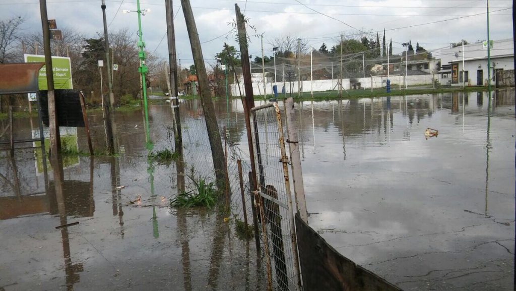 La Argentina boba está pendiente de Miami pero en La Plata, los estragos tienen nombre de varón: se llaman Julio Garro