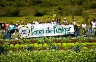 O los paran o el glifosato matará marplatenses, y por eso denuncian al intendente Arroyo