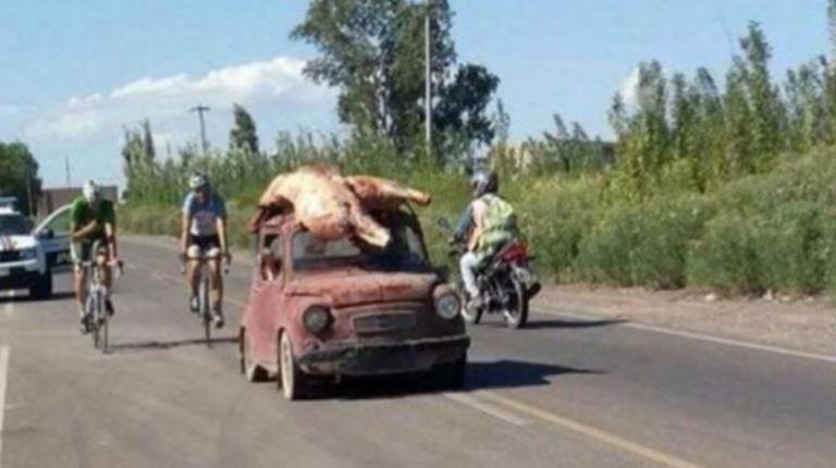 Las vaquitas siempre son ajenas, pero esta vez, en San Juan, las capturaron para morfar