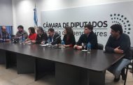 Diputados: previo a la votación de tarifas, la oposición se mostró unida frente a la crisis del sector porcino