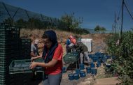 Las inmigrantes marroquíes explotadas en España seguro que no cantan Strawberry Fields Forever