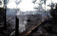 El capitalismo de sojeros, de trasnacionales de la agroindustria y de la minería son los incendiarios del Amazonas