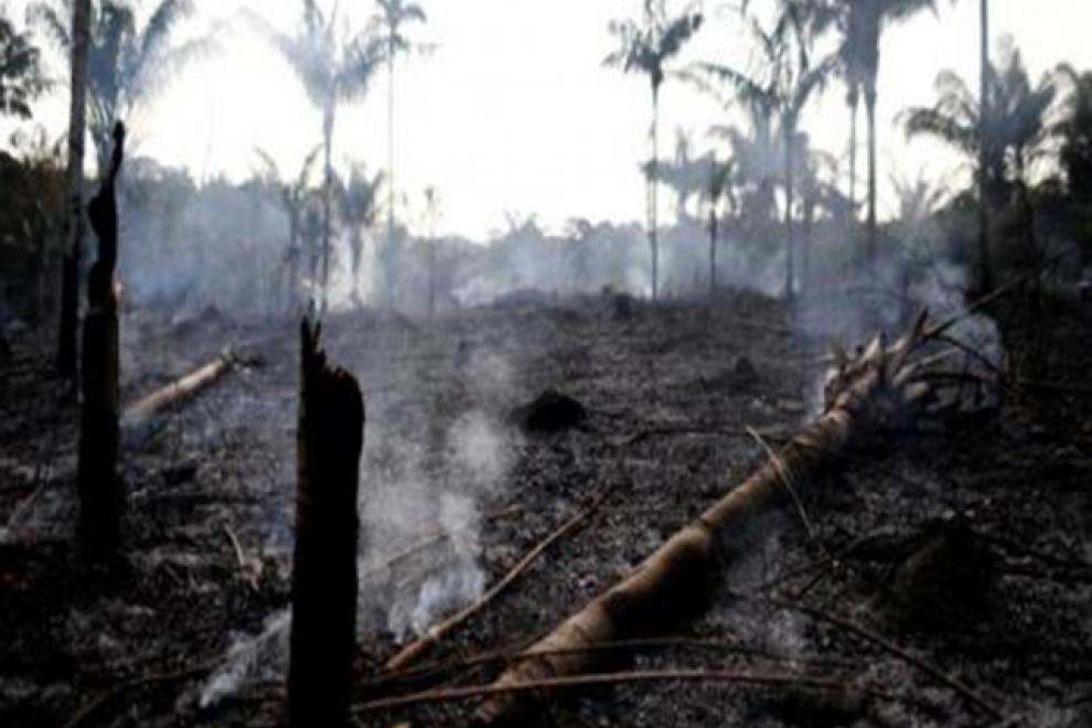 El capitalismo de sojeros, de trasnacionales de la agroindustria y de la minería son los incendiarios del Amazonas
