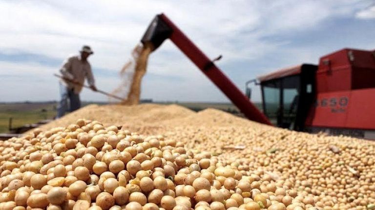 Acerca del campo que es ancho pero ajeno: ¿Suben o bajan las retenciones para cada producto?