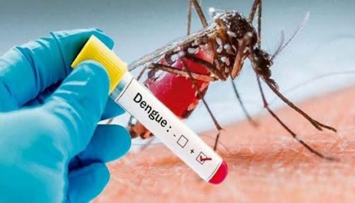 El COVID 19 no está solo: ya casi 8 mil casos de dengue en 16 provincias y siete muertos