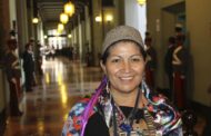 Cambia, algo cambia: Mujer, catedrática y mapuche, preside la Constituyente en Chile